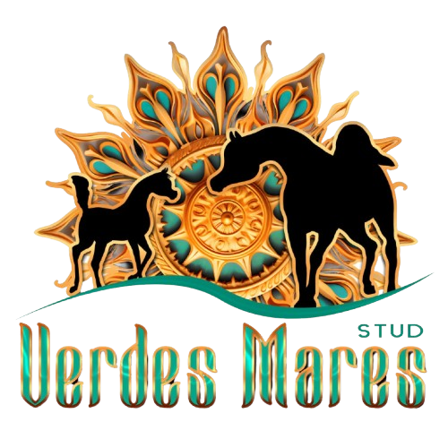 Logo Haras Placeholder